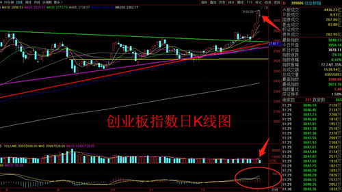 大金融股票龙头股(大金融股票龙头股排名)