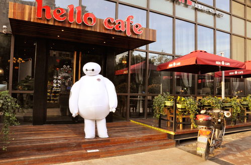 最火的小本生意(最火的小本生意连锁)