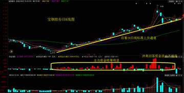 潜力最大的次新股(最有价值的次新股)