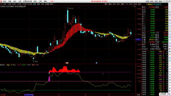 自用成功率99短线指标无未来(尾盘选股技巧第二天必高开)