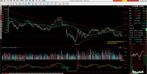 比较看好的股票(前景看好的股票)