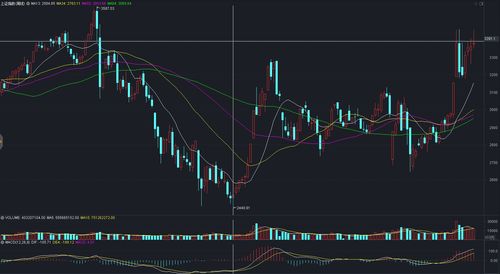 何为股票注册制(什么是股票的注册制)