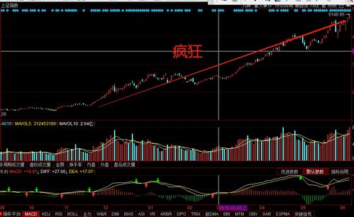1万元10倍杠杆是什么意思(一万块钱一百倍杠杆)