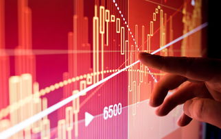 a股运动品牌上市公司(国产运动品牌上市股票)