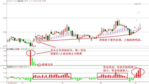 主力吸筹完毕启动指标(主力吸筹完毕启动指标源码)