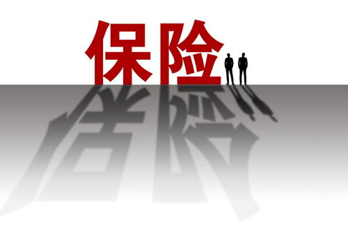 纯贸易公司可以上市吗(贸易公司能上市么)