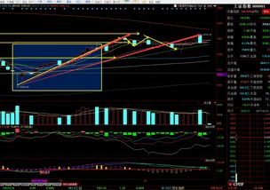 五人开公司股份怎么分(5个人开公司怎么分配股权)