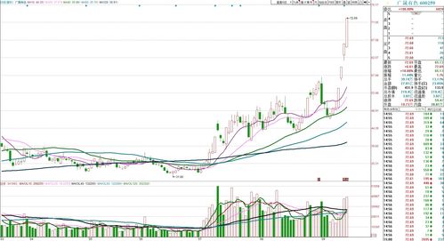 下午股票大跌可以买吗(下午股票不能买卖吗)