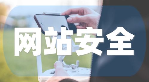 招聘无经验交易员骗局(招聘交易员套路)