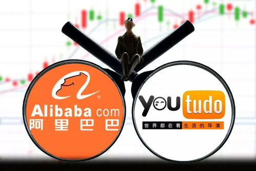 稳赚不赔的违法(稳赚不赔的事情)