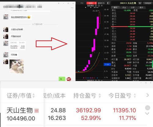 每日盘前9点送三只股(每日盘前点金)