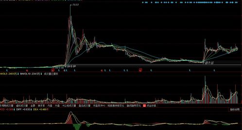 未来最具潜力的十大股票(2023年翻10倍股票)