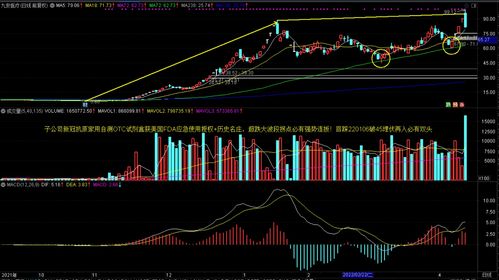 包含某投资者购买a公司股票的词条