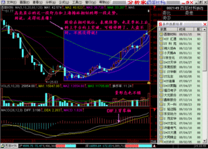 炒股模式有哪些(一种炒股模式永赚不赔)