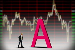 刚入市的股民只能买什么样的股票(刚入股市可以买创业板吗)