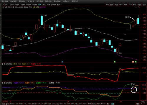 怎样预测股票涨跌(怎样预测股票价格趋势)