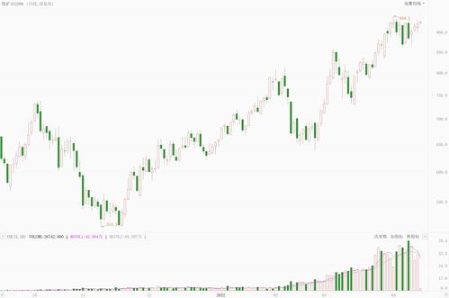 股票开户选沪A还是深A(开户深a和沪a有什么区别)