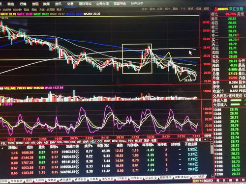 炒股每周5个点一年是多少倍(炒股每周5个点一年是多少倍啊)