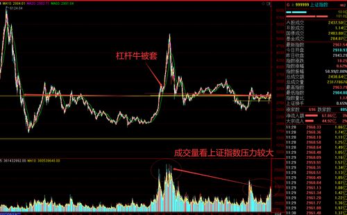 当一只股票走出独立行情(当一只股票走出独立行情会怎么样)
