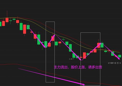个股主力资金怎么看(个股如何看主力资金流入)