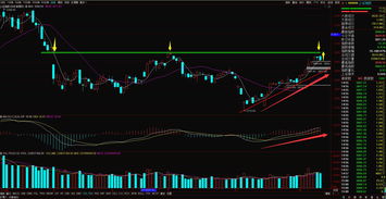 a股今天买今天可以卖吗(股票今天买今天可以卖出吗)