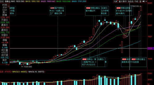 免费牛股(免费牛股群)