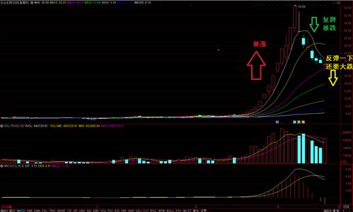 炒股什么样的人悟性高(炒股什么样的人悟性高一点)