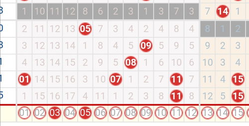 13458出号规律(2组必中一组万能5码)