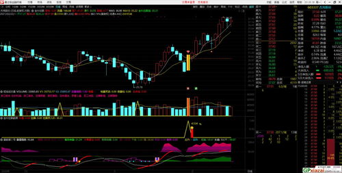 股票有几种玩法(股票玩法说明简单易懂)