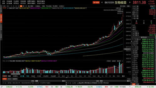 20万在牛市能赚多少(20万进股市)