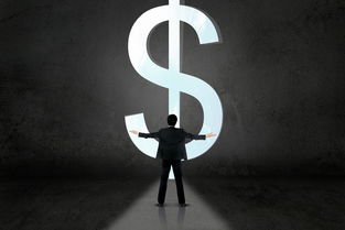 为什么招无经验交易员(无经验可以面试交易员吗)