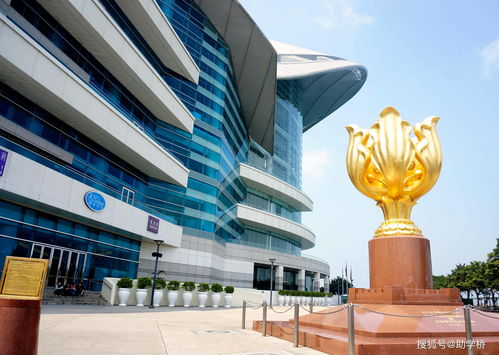 带5万去澳门赢了二十万(在澳门一晚上输24亿的是谁)