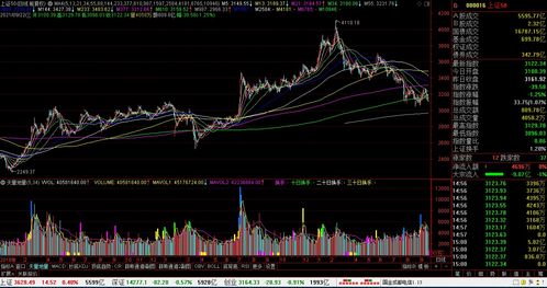 b股是指什么股票(a股是指什么股票)