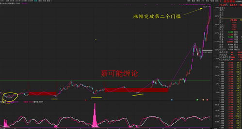 股票定增18个涨停板(定增批文下来后股价走势图)