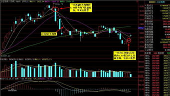 一年四季炒股规律(一年四季炒股规律总结)