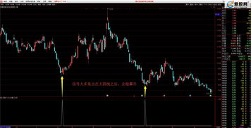 521强庄起爆选股源码(强庄起爆公式指标)