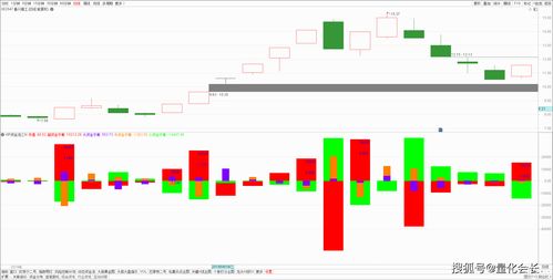 跟踪主力资金技巧(跟踪主力最好的软件)