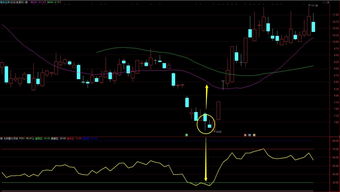 最有潜力的长线股票(最有潜力的长线股票有哪些)