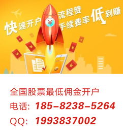 什么炒股软件手续费最低(什么炒股软件交易费用低)