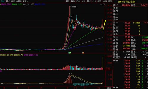 超级大牛股的月线特征(月线选股周线交易绝密技巧)