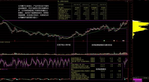 最近行情比较好的股票(最近行情比较好的股票有哪些)