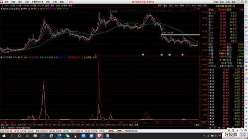 主力资金公式(主力资金公式指标)