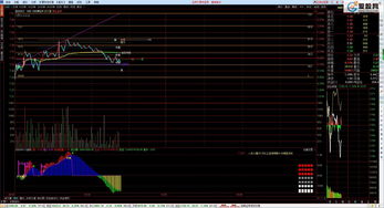 t+0指标源码(t0指标源码)