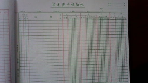 固定资产类目明细表(固定资产类别表格)