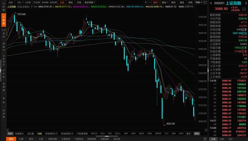 2023年最有前景的股票(2023年股市)