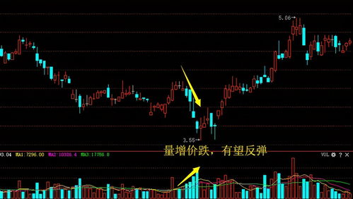 炒股也算经营投资吗(炒股算不算投资入股)