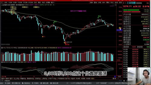 炒股新手怎么选股票(炒股新手怎么选股票基金)