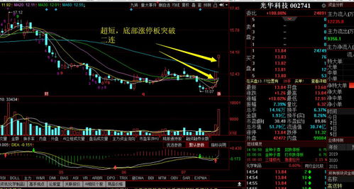 捕捉妖股的诀窍(捉妖股核心秘诀)