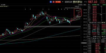 1000元玩股票能赚多少(1000块买股票能赚多少)