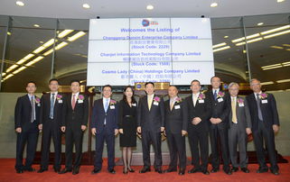 国内第一家A股上市公司(国内第一家a股上市公司是谁)